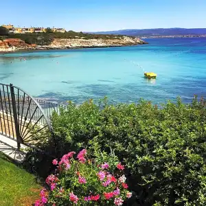 Punta Negra - 216