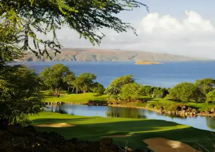 Ho‘olei Villas at Grand Wailea - 41