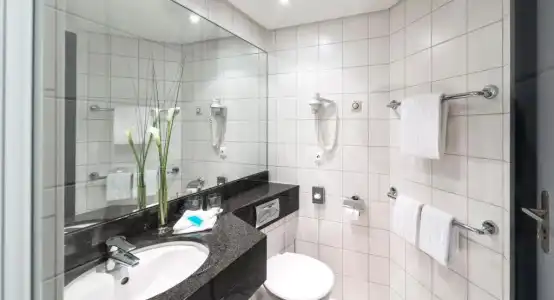 Essential by Dorint Basel City - 41