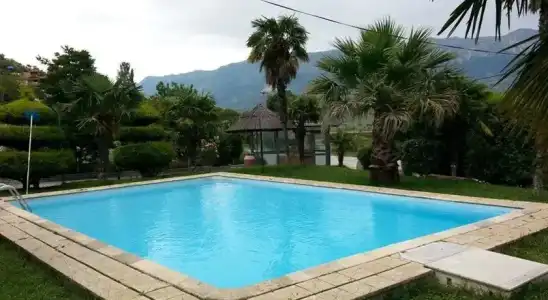 The Palm - 9