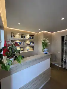 Arial Penthouse Suites - 1