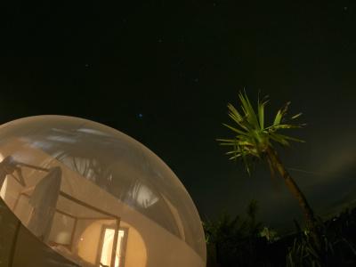 Green Land Bubble Glamping - 11