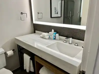 Sheraton Virginia Beach Oceanfront - 88