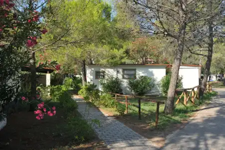 Villaggio Capo Vieste Camping - 17