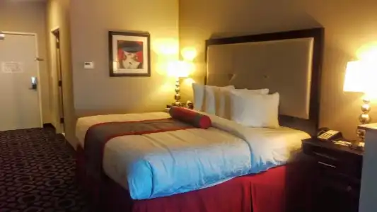 Best Western Plus Laredo Inn & Suites - 22