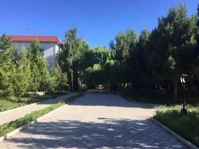 Тулпар (Иссык-Куль) - 16
