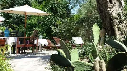 Masseria Villa Marchesi - 152