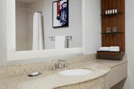 Deltas by Marriott Burlington - 7