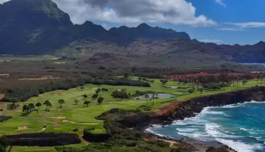 Grand Hyatt Kauai Resort and Spa - 26