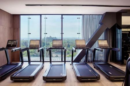 The Ritz-Carlton, - 19