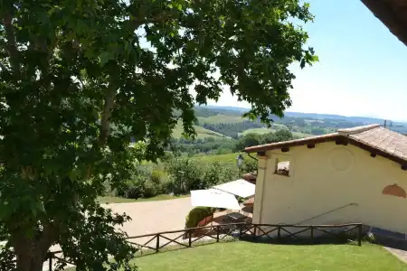 Tenuta Pizzogallo - 15