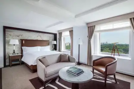 The Ritz-Carlton New York, Central Park - 26