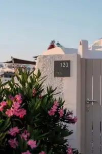 Belvedere Suites - 87