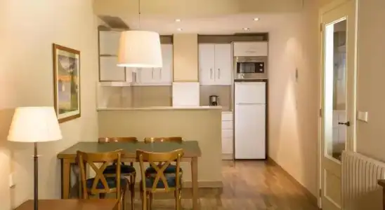 Apartaments Shusski - 28