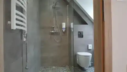 Paryski Art & Business Zakopane - Basen Jacuzzi Sauna Małpi Gaj - 33
