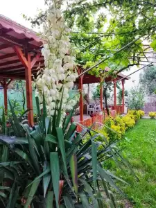 Kilic Motel - 27