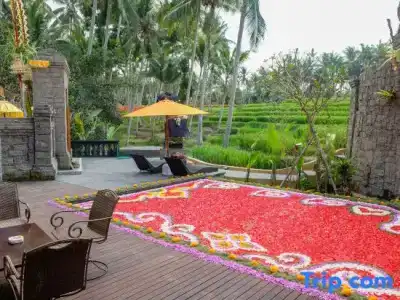 Green Field Resort - 98