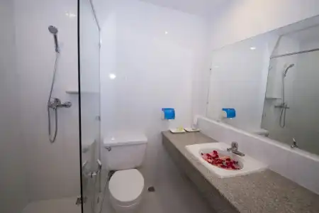 Panorama - 27