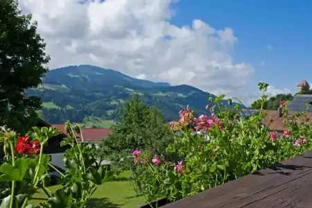 Bayerischer Hof - 85