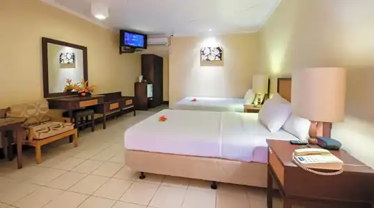 Tanoa Skylodge - 36