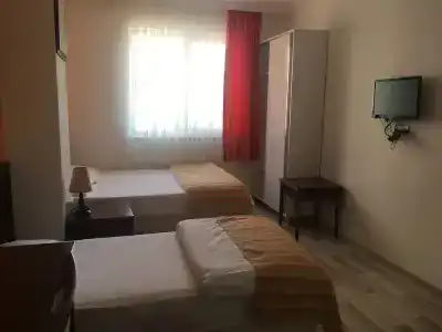 Mutado - 29