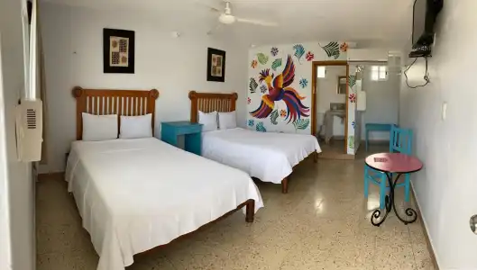 Blue Coconut Cancun - 5