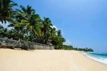 Amor Villa - 13