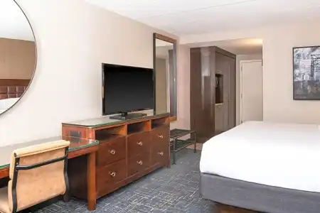 Sheraton Ann Arbor - 87