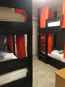 Seashell Motel and International Hostel - 25