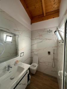 Arial Penthouse Suites - 236