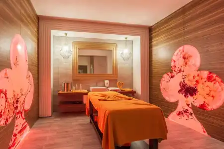 Mary Palace Resort & Spa - 9