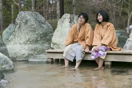 Fujisan Onsen Kaneyamaen - 34