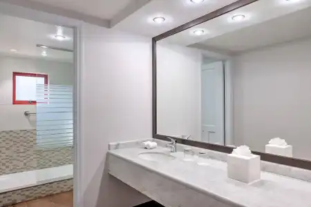 Four Points by Sheraton Santiago - 67