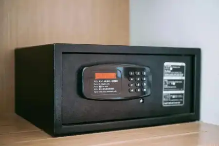 Ray - 87