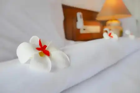 Zama Resort - 82