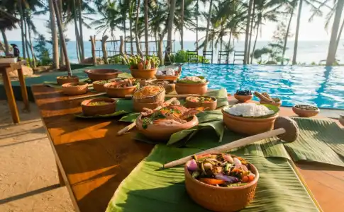 Turtle Bay - 5