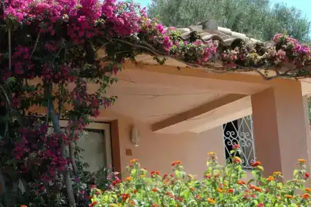 Residence Fenicia - 21