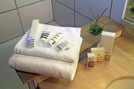 Mercure Albi Rives du Tarn - 32