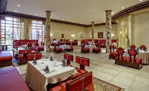 Palm Plaza Marrakech & Spa - 19