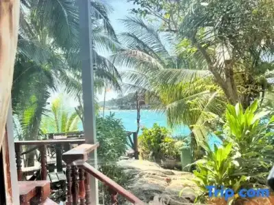 Tongta Phaview - 89