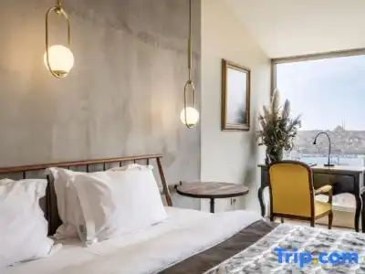Ansen Suites - 50