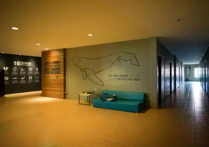 Monkey Dive Hostel Khaolak - 11