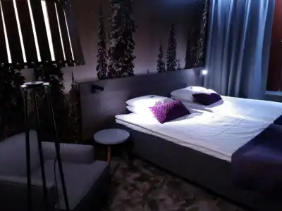 Hotelli Korpilampi - 56