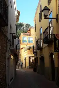 Rosa & Spa Begur - 0