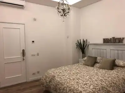 Edera e Camelie - 1