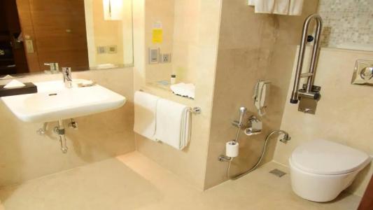 Holiday Inn Jaipur City Centre by IHG - 41