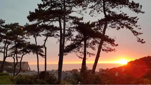 Domaine Saint Clair Le Donjon Etretat - 15