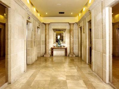 Olive Tree - 11