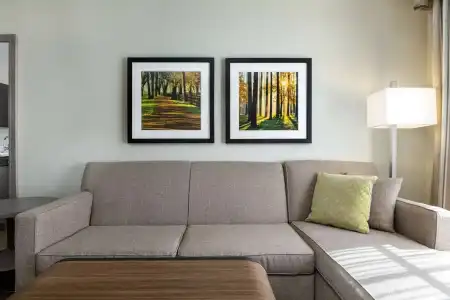 Homewood Suites by Hilton Tallahassee - 29