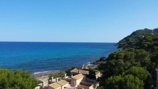 Canyamel Classic, Solo Adultos - 41